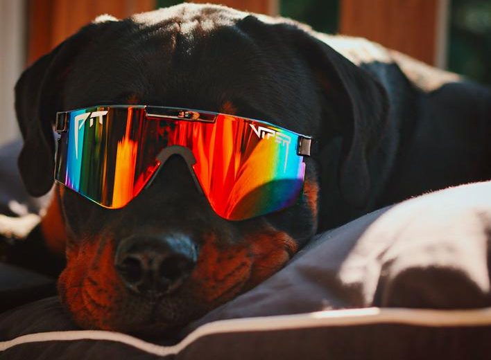 The 2 Best Pit Viper Sunglasses You Can Buy